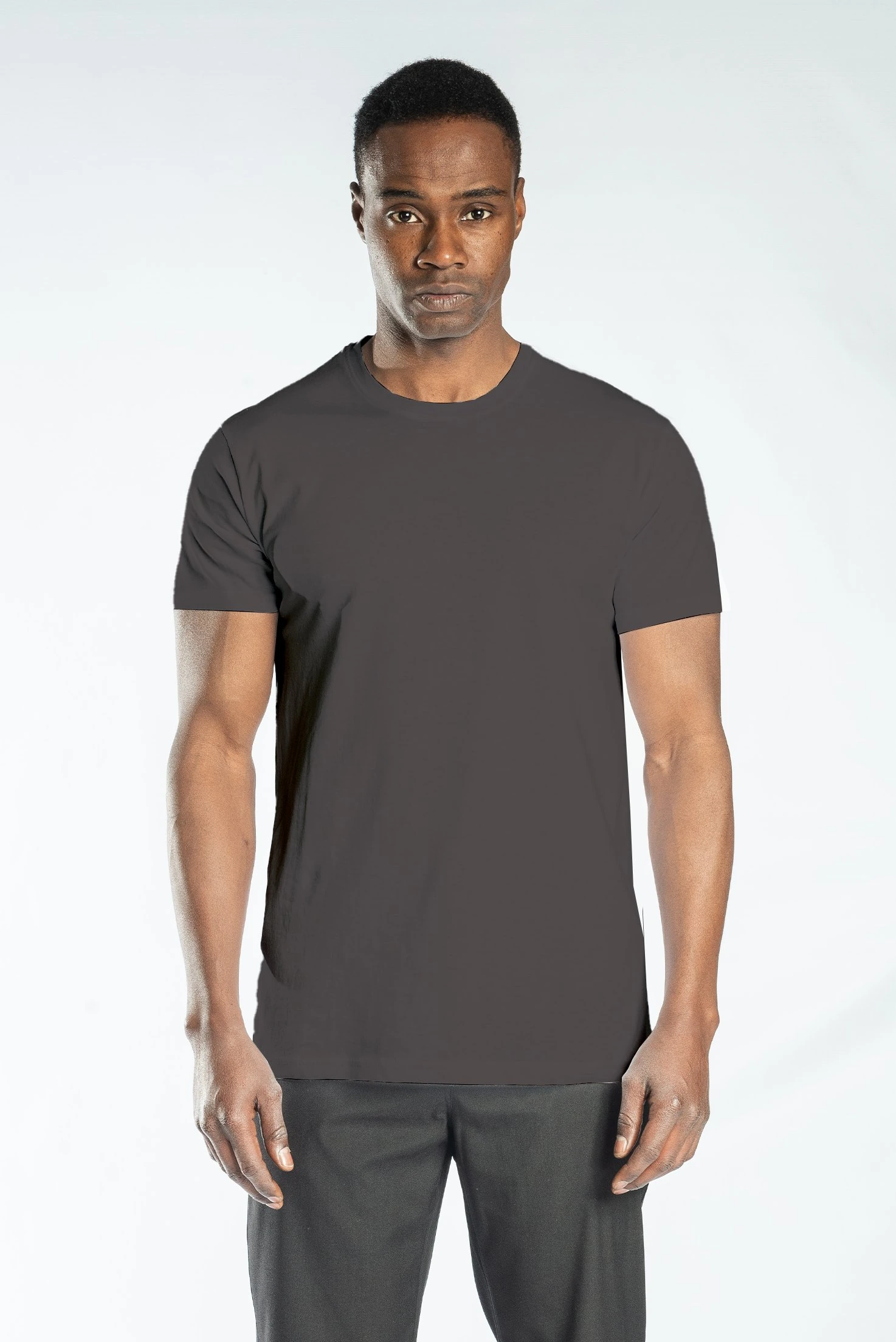 Regular Basic Bisiklet Yaka T-Shirt Antrasit